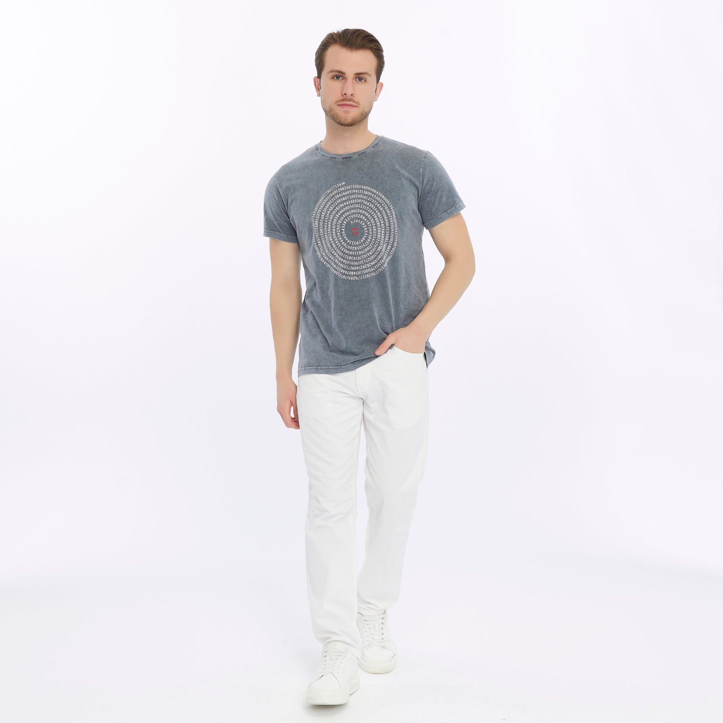 Stone Washed Effect   PI OF  INTERESTING NUMBER  Printed Cotton  T-shirt