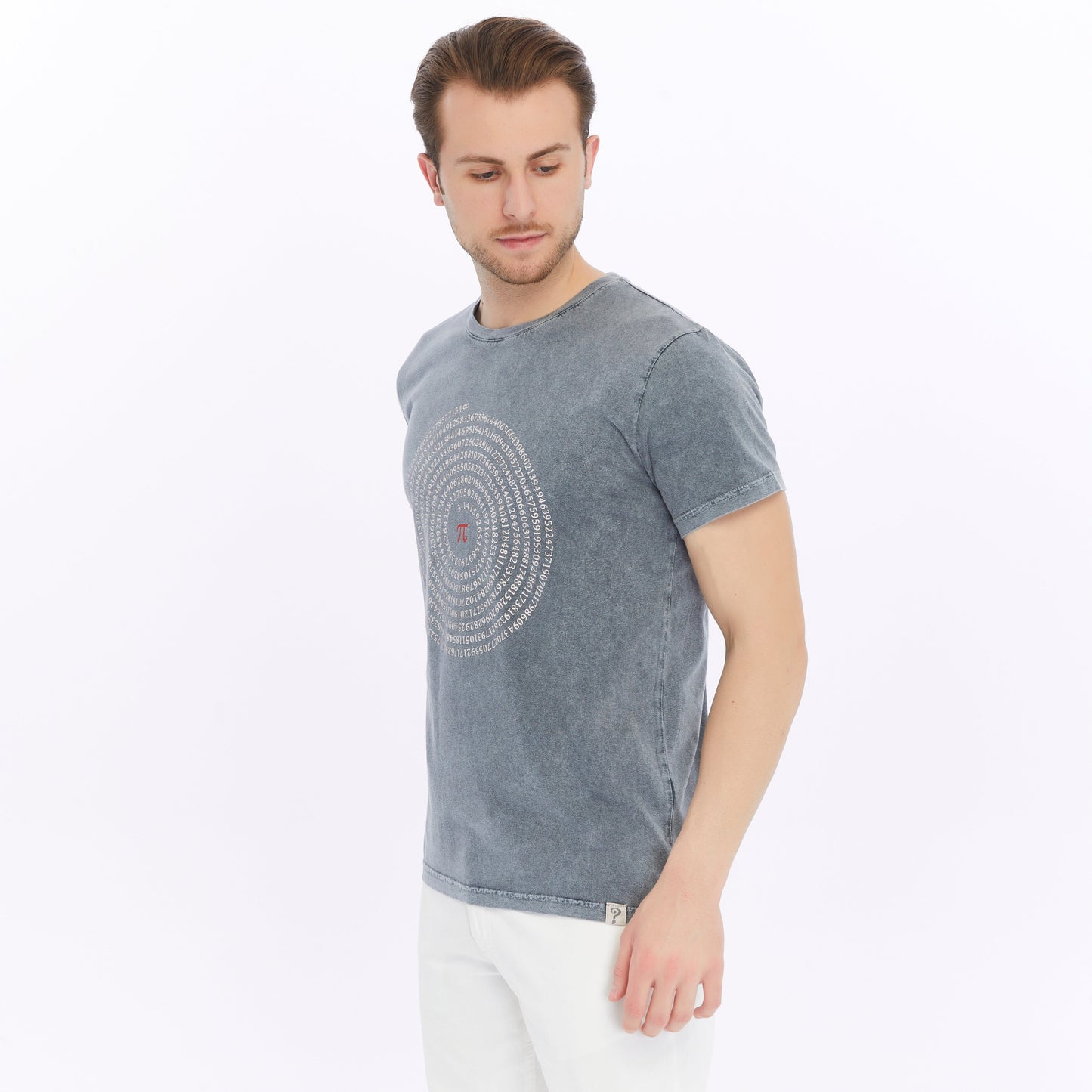 Stone Washed Effect   PI OF  INTERESTING NUMBER  Printed Cotton  T-shirt