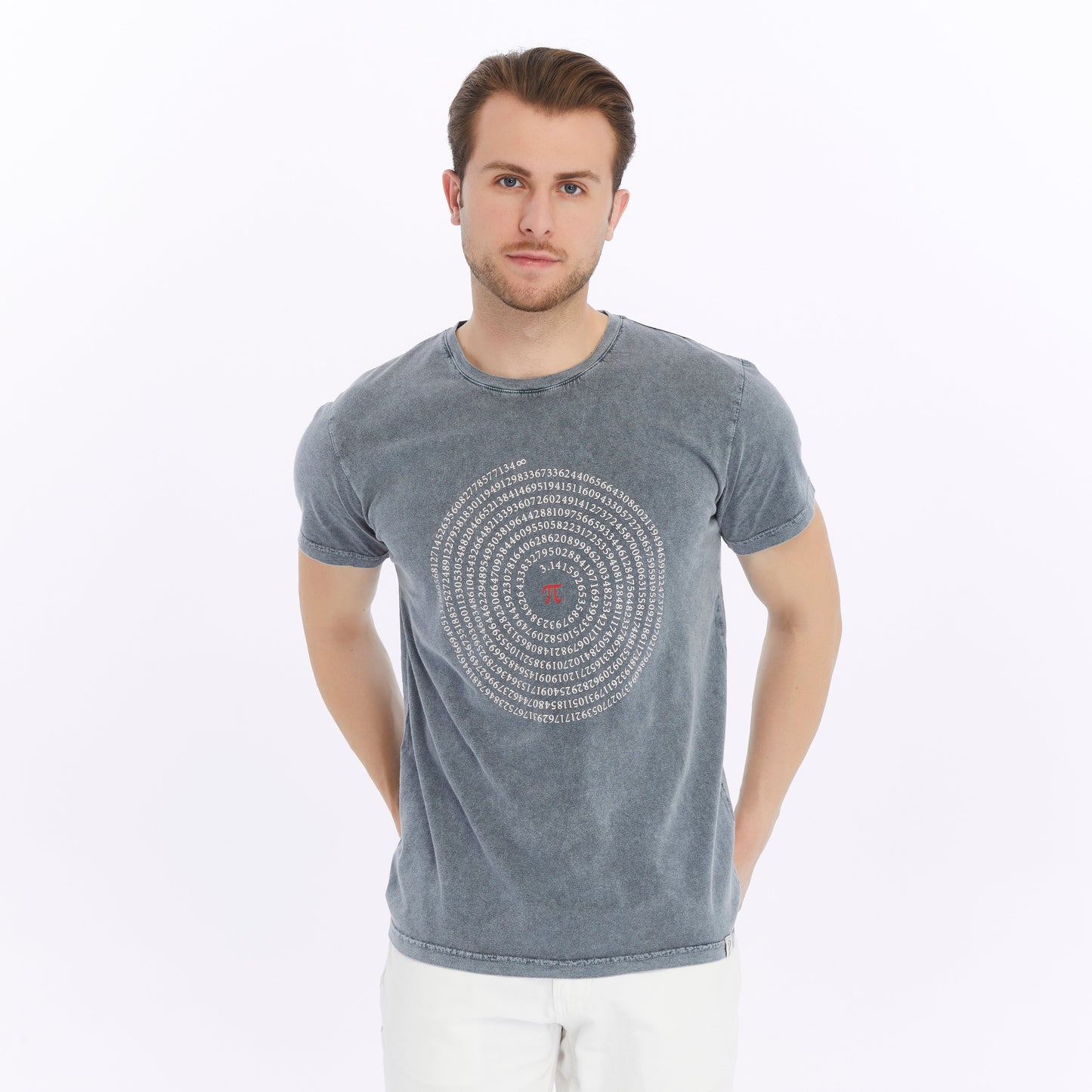 Stone Washed Effect   PI OF  INTERESTING NUMBER  Printed Cotton  T-shirt
